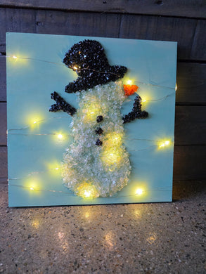 1/20/2026 (11am) WoodScape Workshop