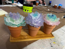 SOLD OUT 06/10/2024 Sea Glass Succulent WORKSHOP 6:30pm