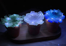 7/18/2026 (4:30pm) SATURDAY Sea Glass Tree, Succulent or Gnome Workshop w/ Grinch option!