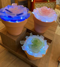 SOLD OUT 05/20/2024 Sea Glass Succulent WORKSHOP 6:30pm