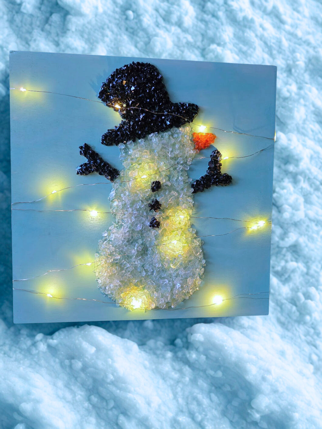 1/20/2026 (11am) WoodScape Workshop