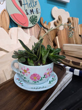 11/19/2026 (6pm) THURSDAY 🌿 Paint, Plant & Bloom: A Succulent Teacup Workshop w/ Stoughton Flower Shop