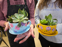11/19/2026 (6pm) THURSDAY 🌿 Paint, Plant & Bloom: A Succulent Teacup Workshop w/ Stoughton Flower Shop