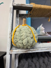 10/4/2026 (11am) SUNDAY 🎃 Chunky Pumpkin Trio Workshop *New Project*