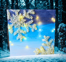 1/20/2026 (11am) WoodScape Workshop