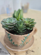 11/19/2026 (6pm) THURSDAY 🌿 Paint, Plant & Bloom: A Succulent Teacup Workshop w/ Stoughton Flower Shop