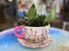 11/19/2026 (6pm) THURSDAY 🌿 Paint, Plant & Bloom: A Succulent Teacup Workshop w/ Stoughton Flower Shop