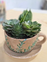 11/19/2026 (6pm) THURSDAY 🌿 Paint, Plant & Bloom: A Succulent Teacup Workshop w/ Stoughton Flower Shop