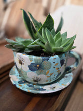 11/19/2026 (6pm) THURSDAY 🌿 Paint, Plant & Bloom: A Succulent Teacup Workshop w/ Stoughton Flower Shop