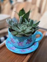 11/19/2026 (6pm) THURSDAY 🌿 Paint, Plant & Bloom: A Succulent Teacup Workshop w/ Stoughton Flower Shop