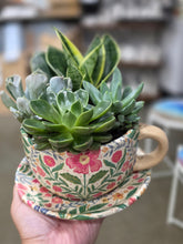 11/19/2026 (6pm) THURSDAY 🌿 Paint, Plant & Bloom: A Succulent Teacup Workshop w/ Stoughton Flower Shop