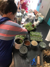 06/24/2021 Get Your Plant On -Pop up Workshop (6pm-9pm)