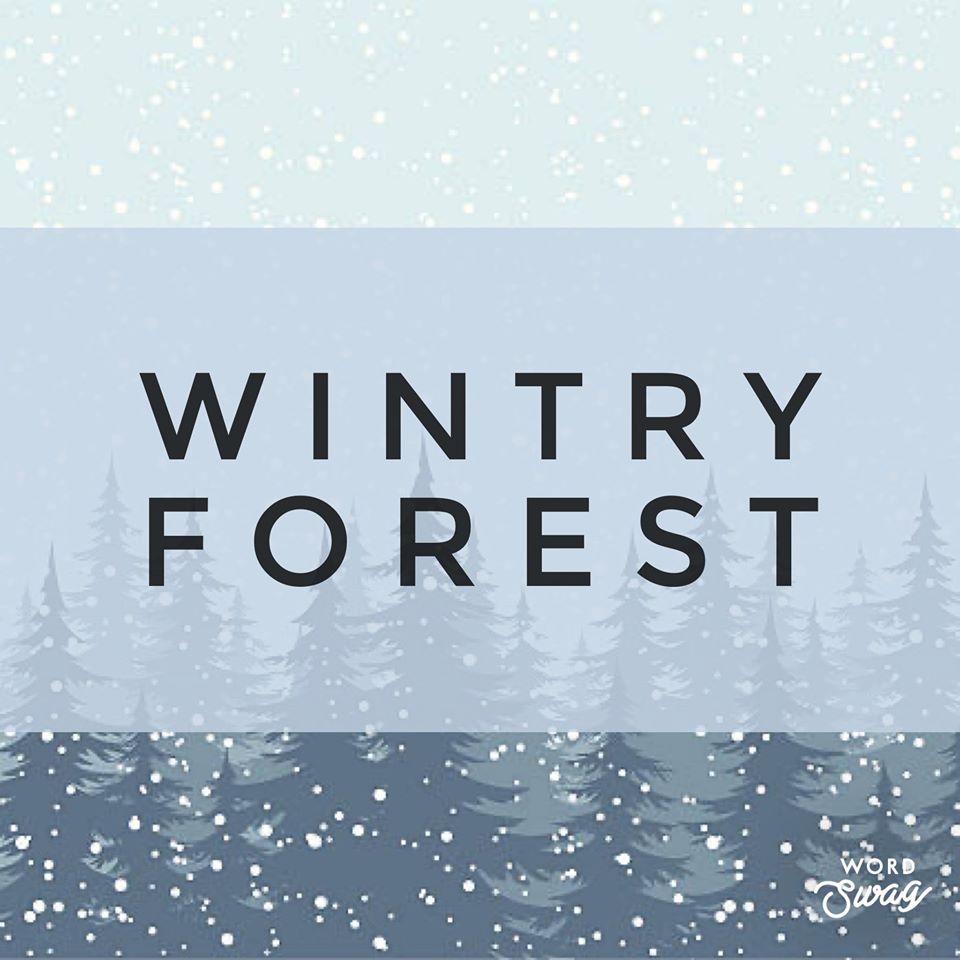 01/28/2020 Wintry Forest Beginner Cookie Decorating Class with Moonlight Sweets 6pm