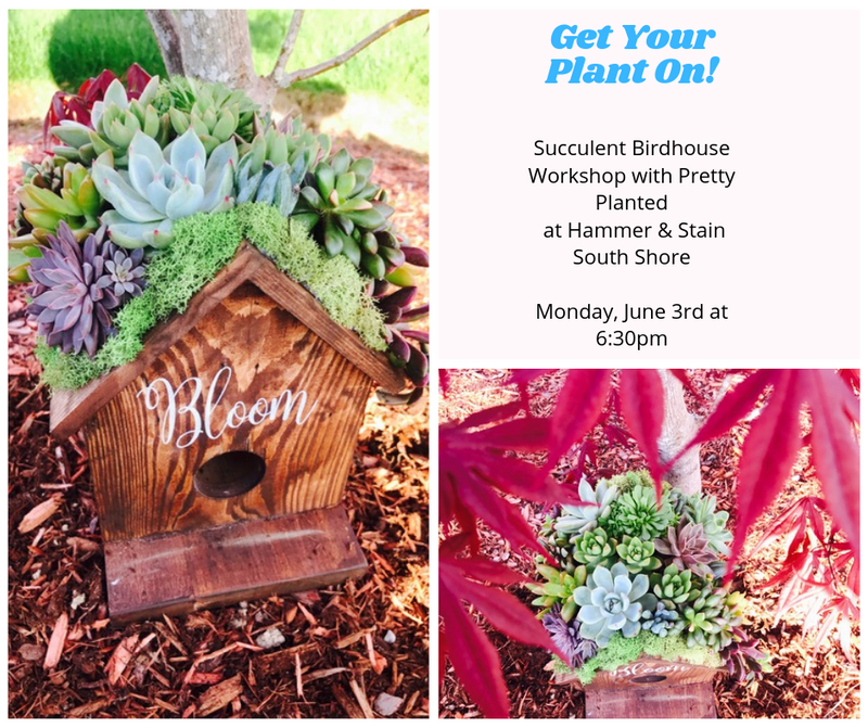 succulent birdhouse 06/03/2019 Succulent Birdhouse Workshop – Hammer and Stain South Shore